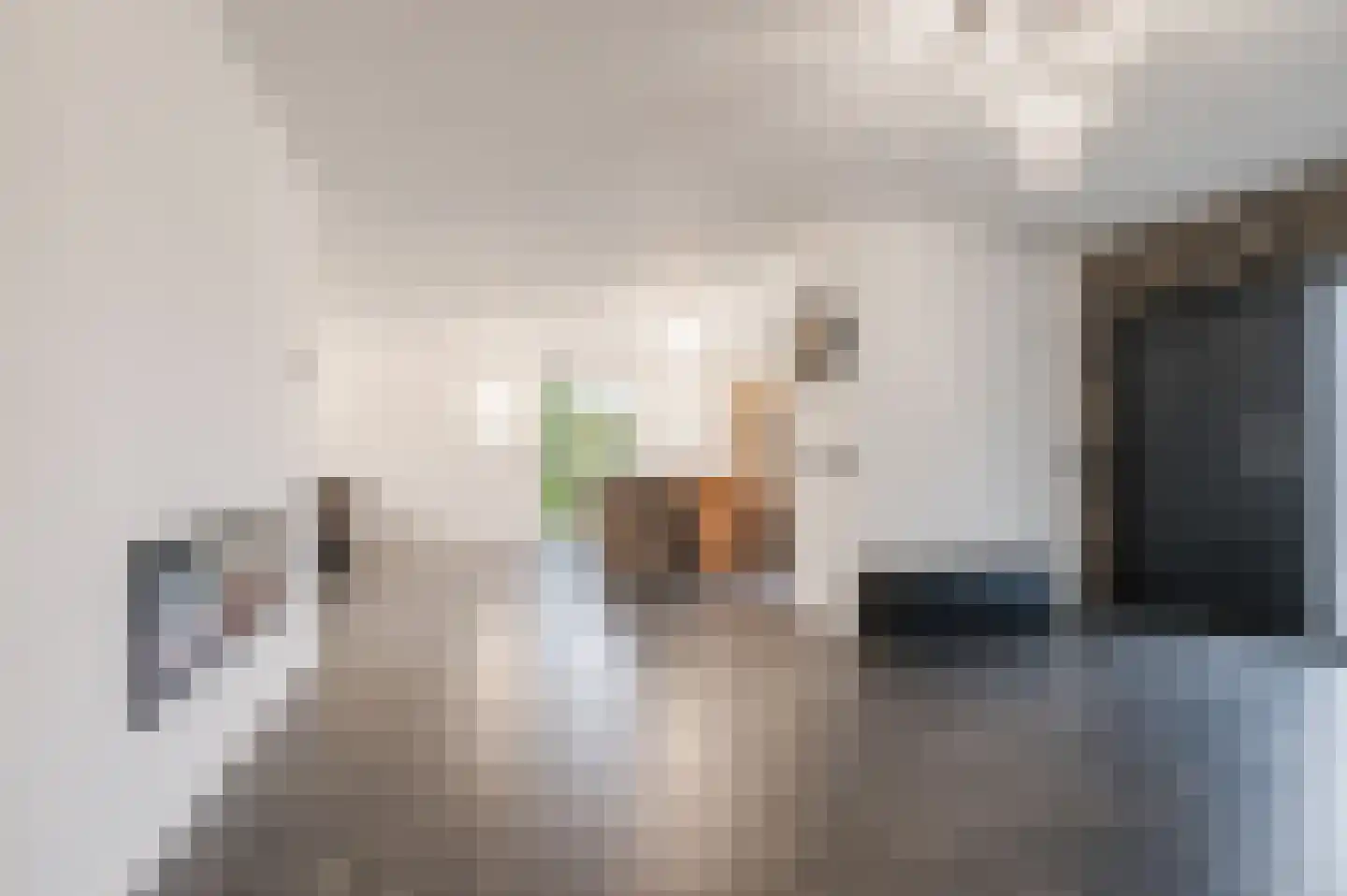 Klaroenlaan 1 Uden thumbnail 15