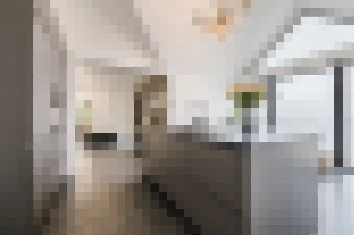 Klaroenlaan 1 Uden thumbnail 19