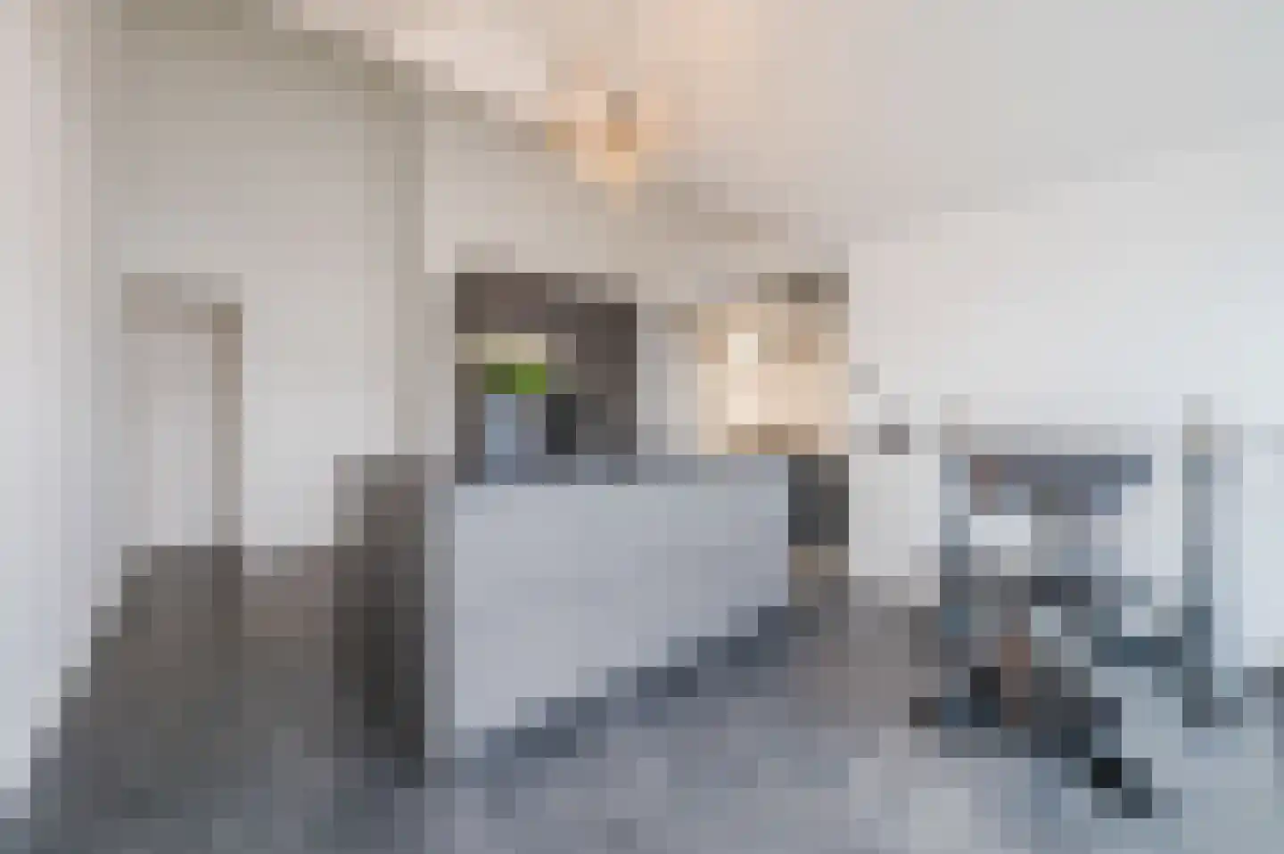 Klaroenlaan 1 Uden thumbnail 22