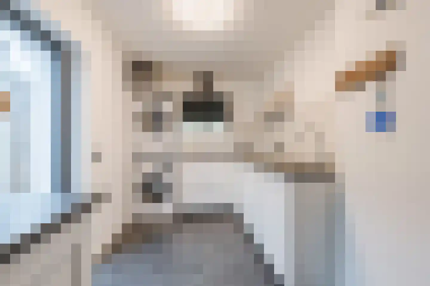 Klaroenlaan 1 Uden thumbnail 24