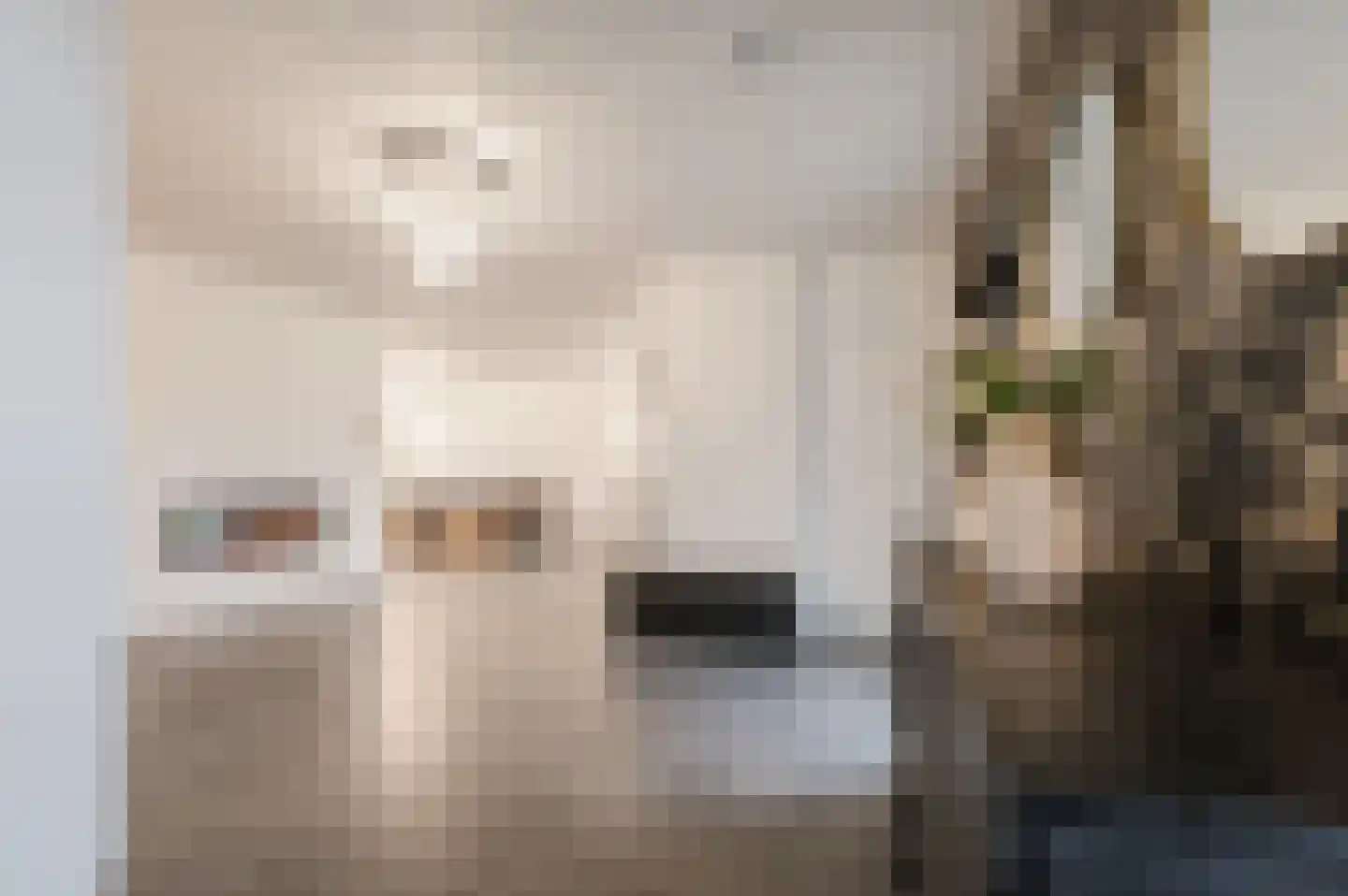 Klaroenlaan 1 Uden thumbnail 37