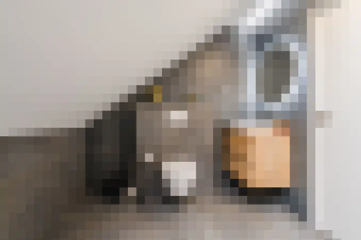 Klaroenlaan 1 Uden thumbnail 44