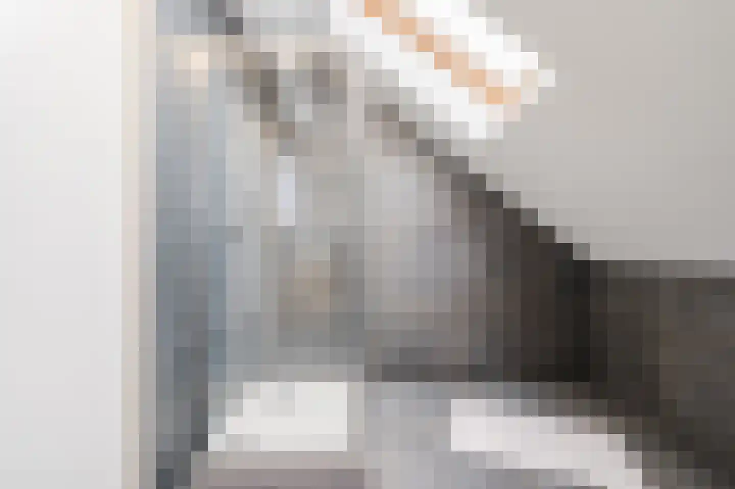 Klaroenlaan 1 Uden thumbnail 45