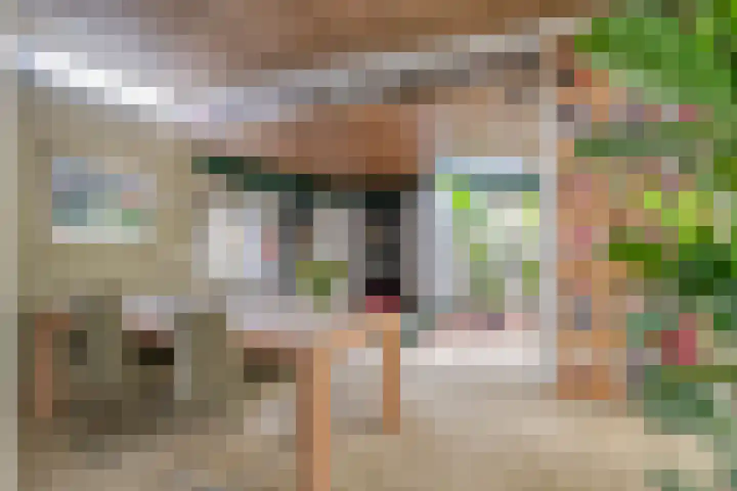 Klaroenlaan 14 Uden thumbnail 13
