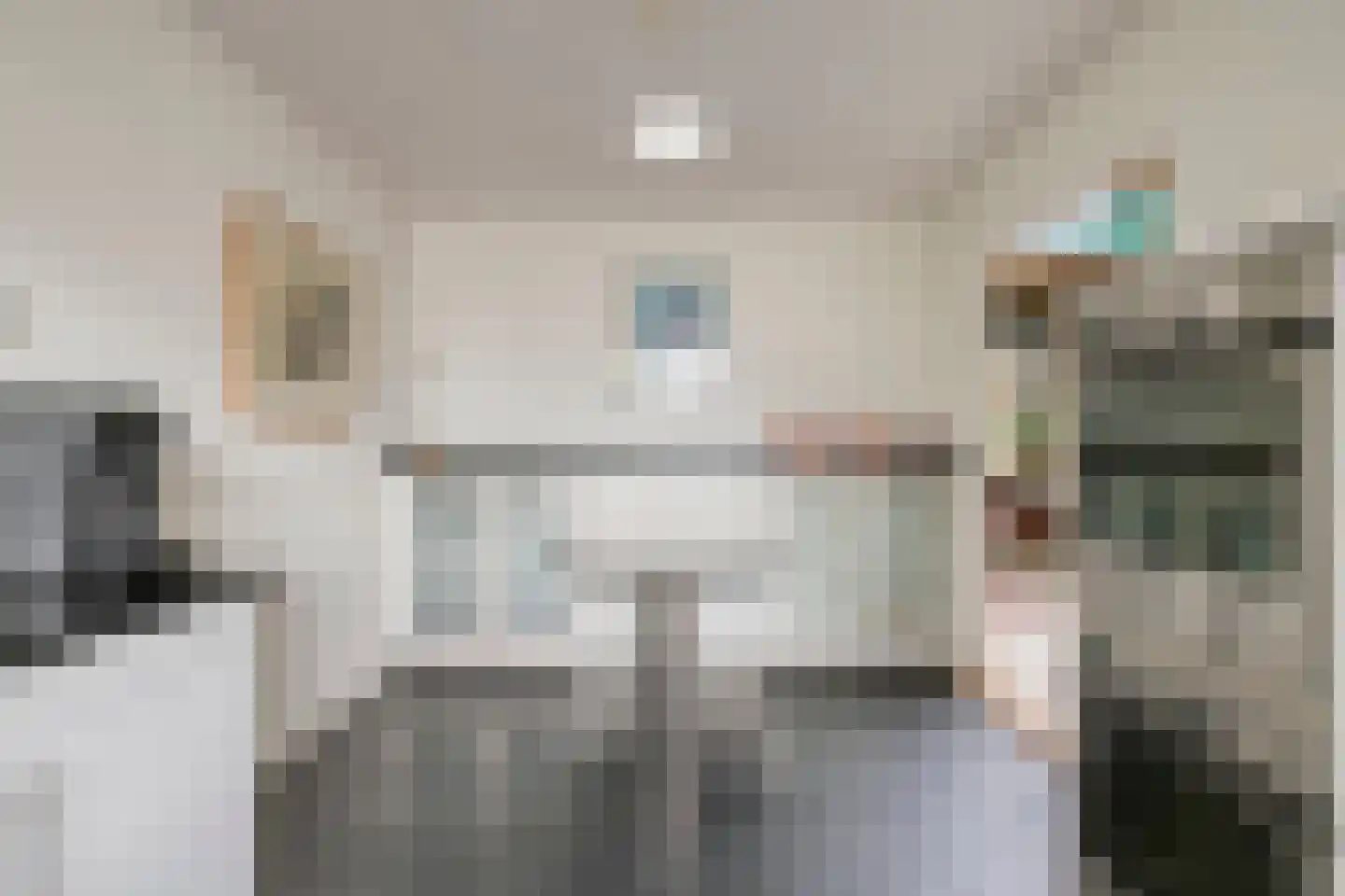 Klaroenlaan 14 Uden thumbnail 21