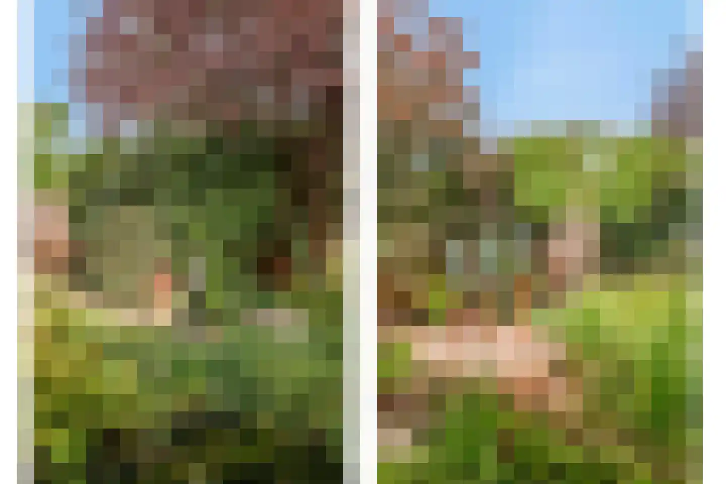 Klaroenlaan 14 Uden thumbnail 38