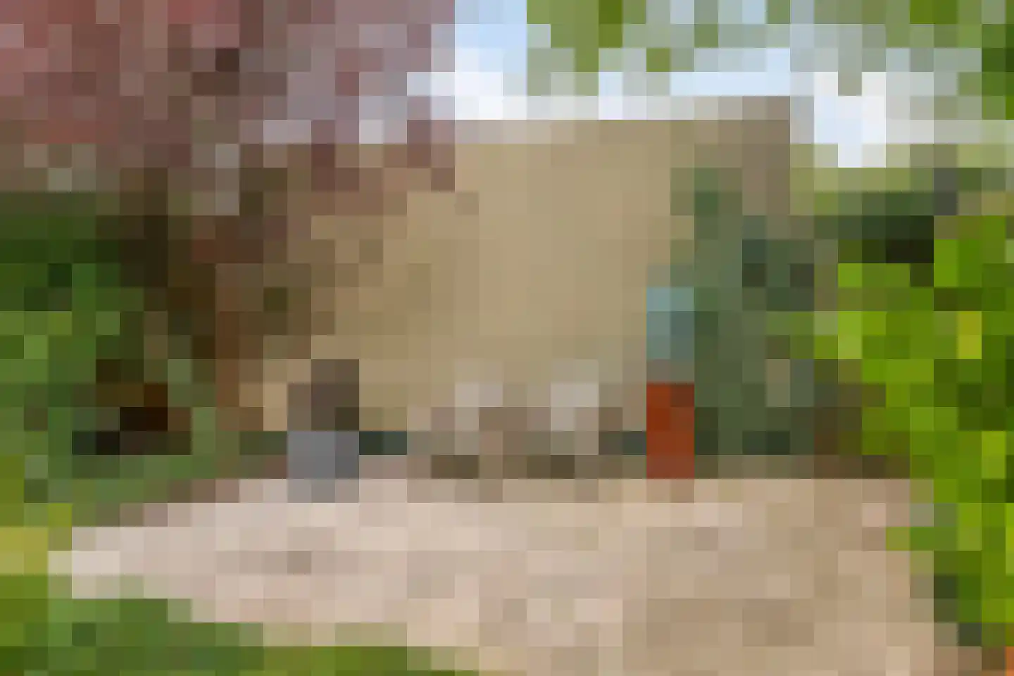 Klaroenlaan 14 Uden thumbnail 39