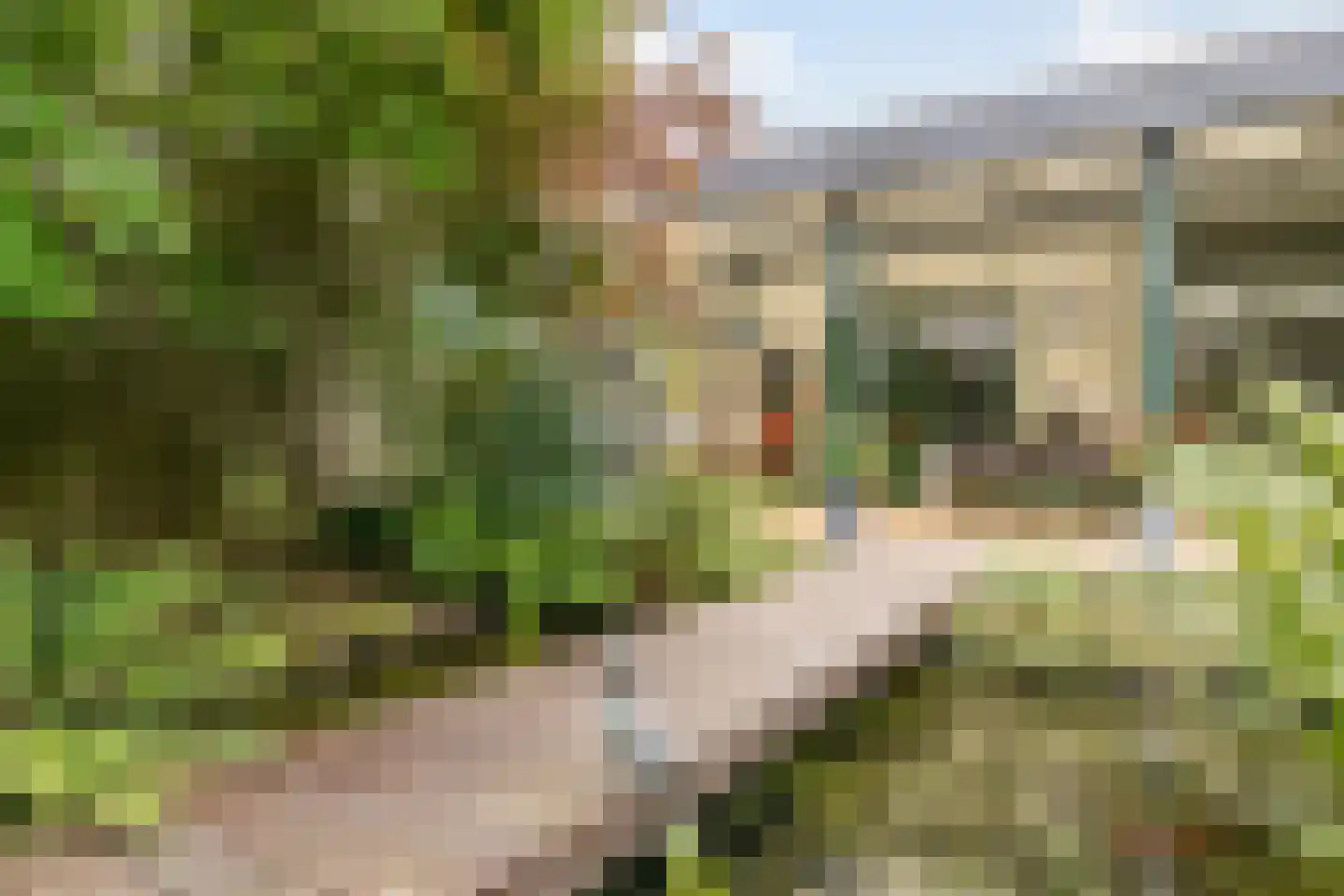 Klaroenlaan 14 Uden thumbnail 45