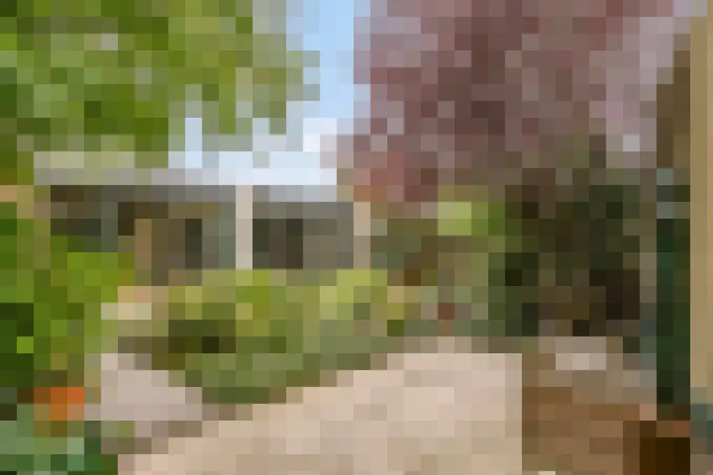 Klaroenlaan 14 Uden thumbnail 46