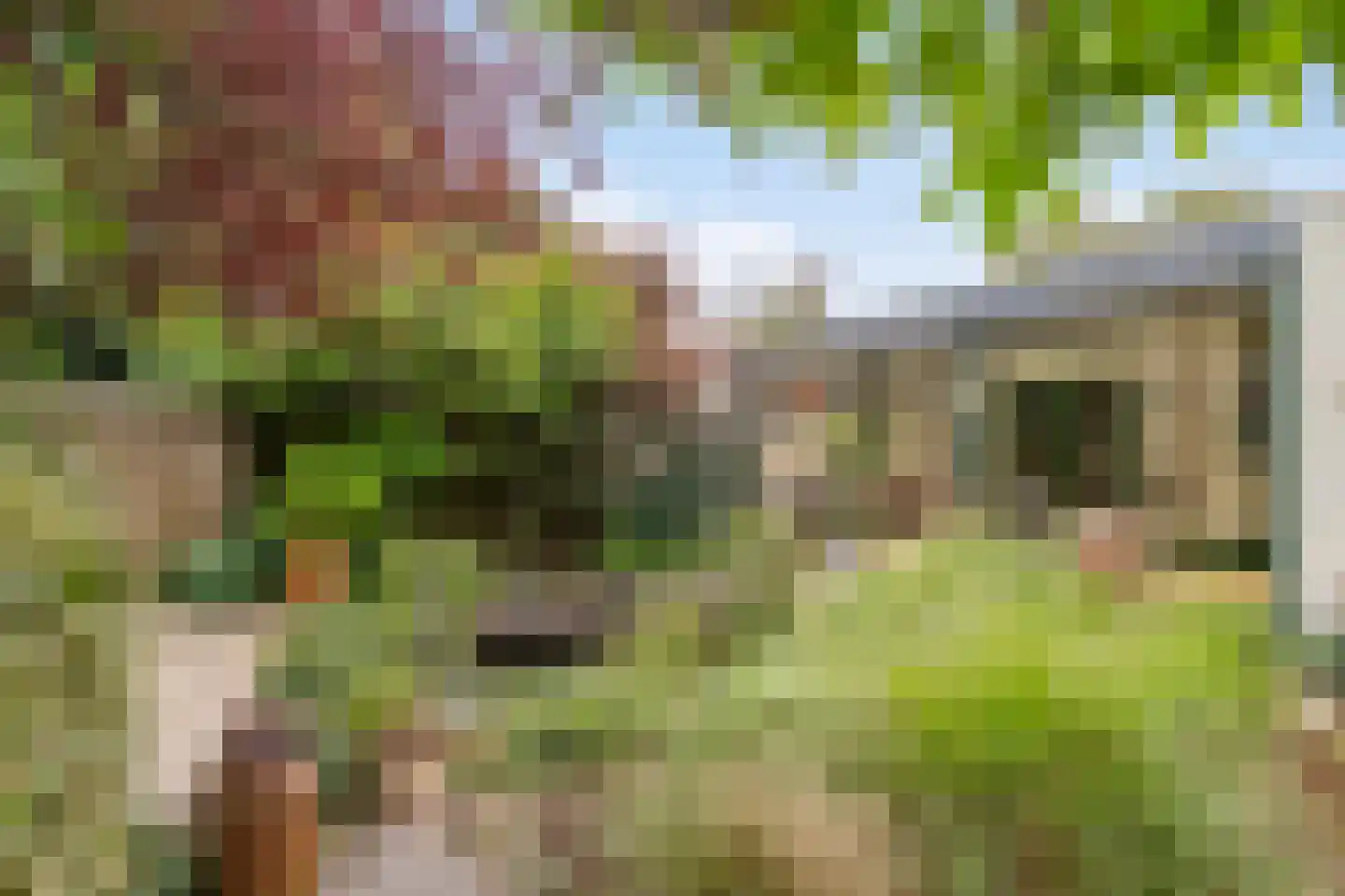 Klaroenlaan 14 Uden thumbnail 47