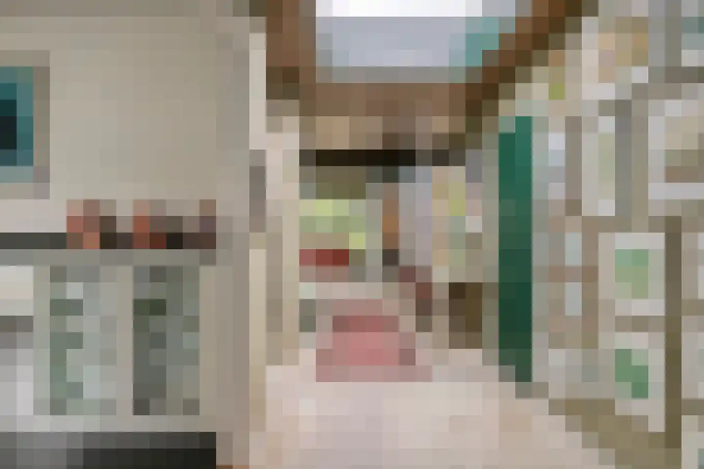 Klaroenlaan 14 Uden thumbnail 5