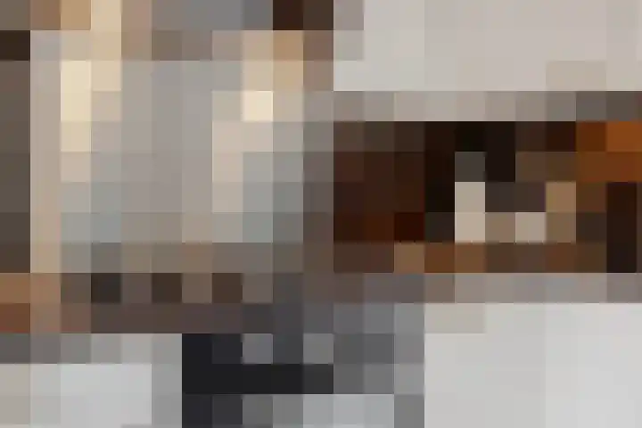Klaroenlaan 17 Utrecht thumbnail 12