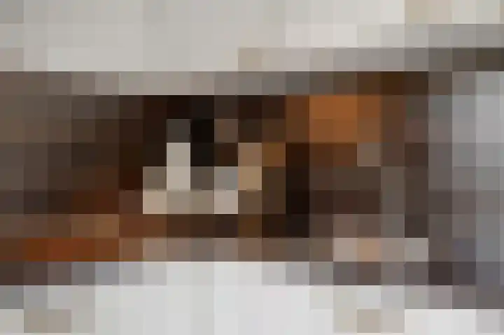 Klaroenlaan 17 Utrecht thumbnail 13