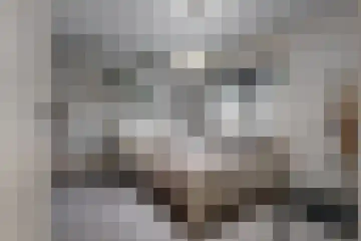Klaroenlaan 17 Utrecht thumbnail 19