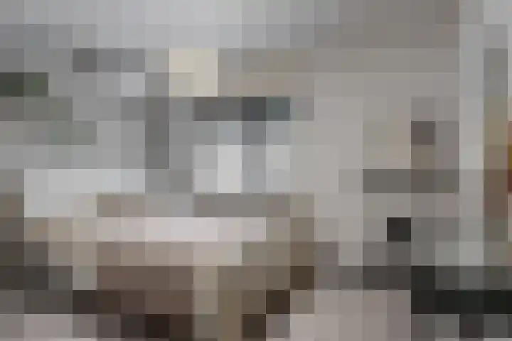 Klaroenlaan 17 Utrecht thumbnail 21