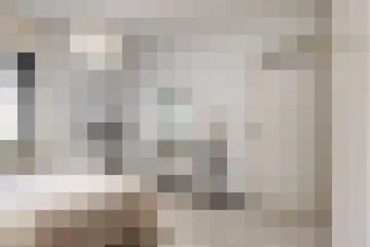 Klaroenlaan 17 Utrecht thumbnail 22