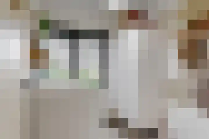 Klaroenlaan 17 Utrecht thumbnail 23