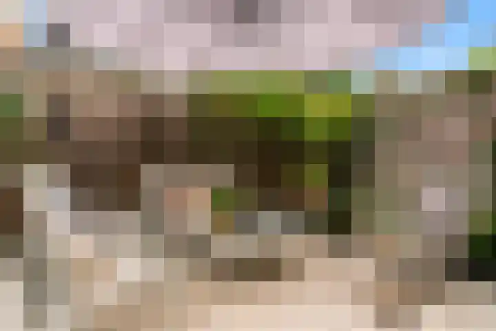 Klaroenlaan 17 Utrecht thumbnail 29