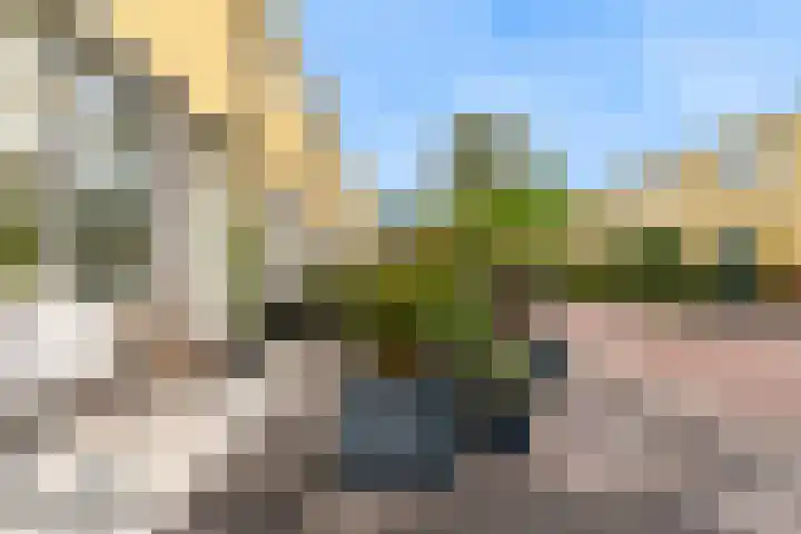 Klaroenlaan 17 Utrecht thumbnail 35