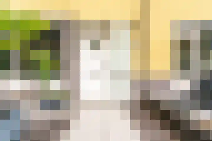 Klaroenlaan 17 Utrecht thumbnail 36