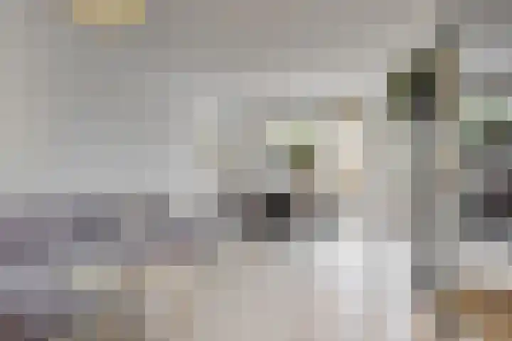 Klaroenlaan 17 Utrecht thumbnail 5