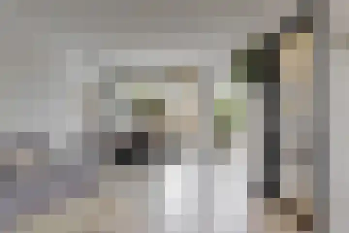 Klaroenlaan 17 Utrecht thumbnail 7