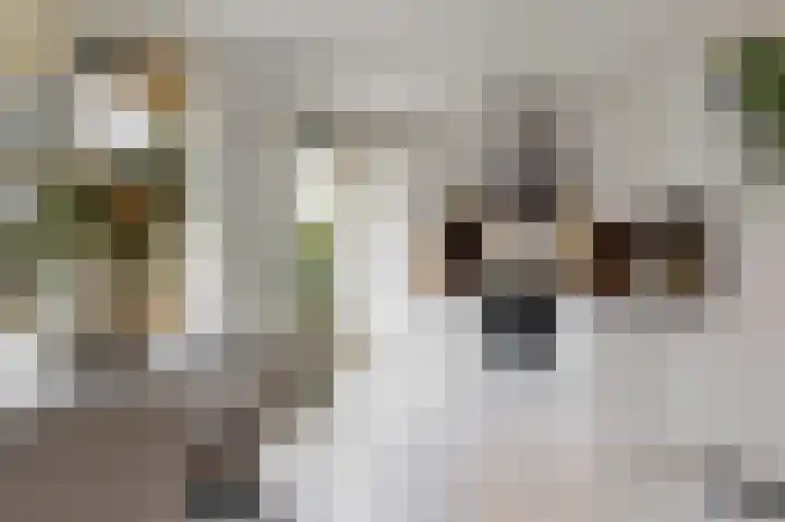 Klaroenlaan 17 Utrecht thumbnail 9