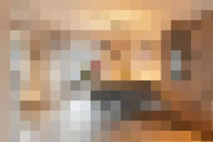 Klaroenpad 8 Helmond thumbnail 14