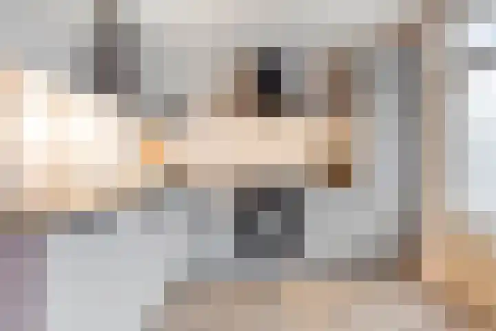 Klaroenpad 8 Helmond thumbnail 17