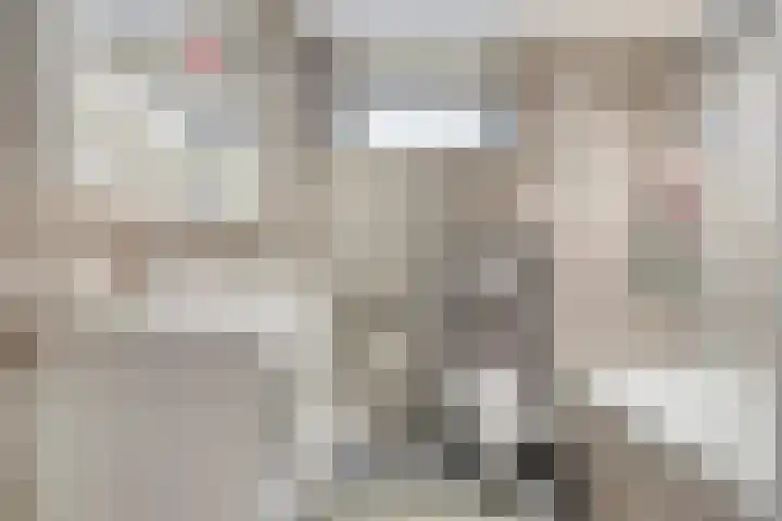 Klaroenpad 8 Helmond thumbnail 22