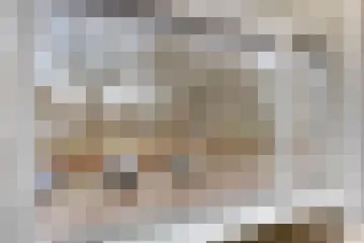 Klaroenpad 8 Helmond thumbnail 25