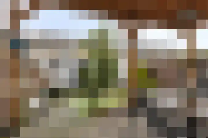 Klaroenpad 8 Helmond thumbnail 30