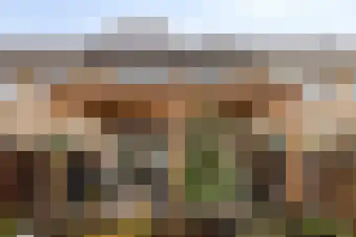 Klaroenpad 8 Helmond thumbnail 31