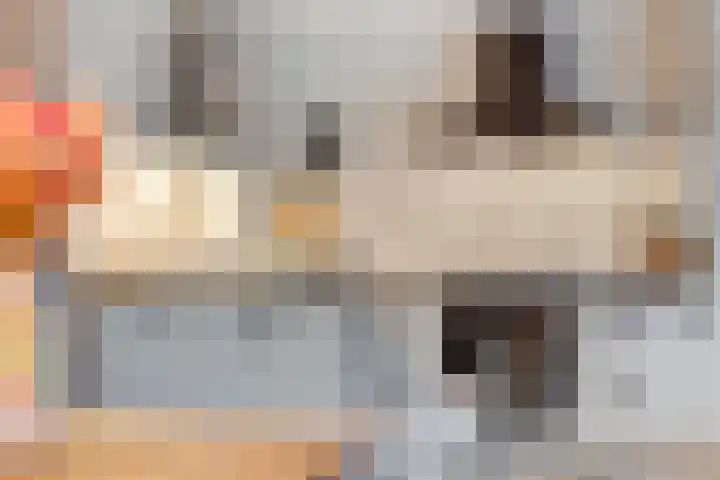 Klaroenpad 8 Helmond thumbnail 4