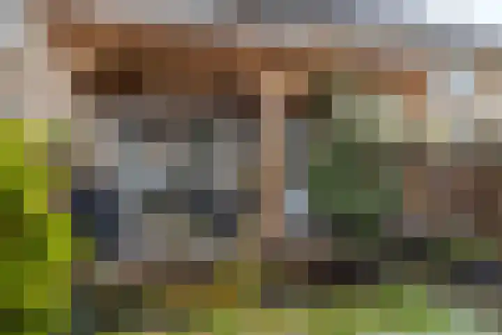 Klaroenpad 8 Helmond thumbnail 5