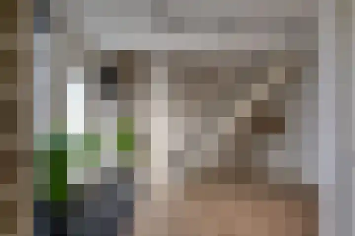 Klaroenring 101 Etten-Leur thumbnail 12