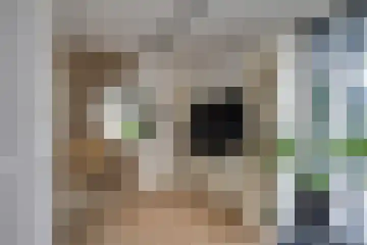 Klaroenring 101 Etten-Leur thumbnail 13