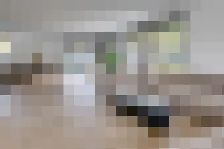 Klaroenring 101 Etten-Leur thumbnail 16