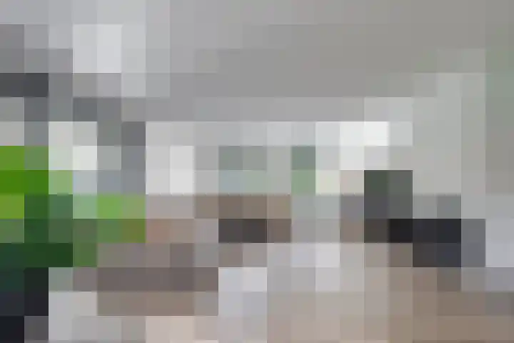 Klaroenring 101 Etten-Leur thumbnail 17