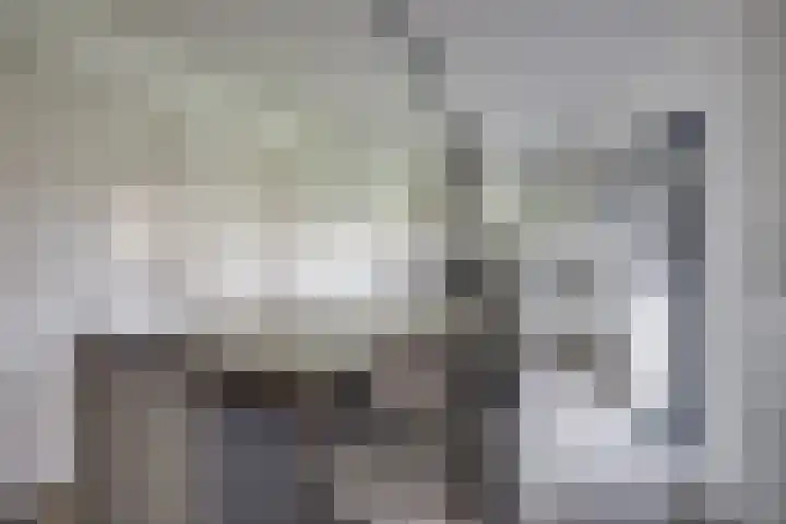 Klaroenring 101 Etten-Leur thumbnail 20