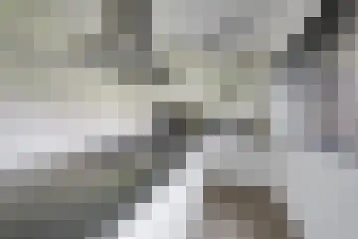 Klaroenring 101 Etten-Leur thumbnail 21