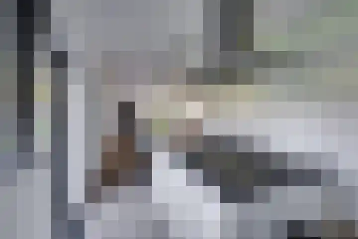 Klaroenring 101 Etten-Leur thumbnail 22