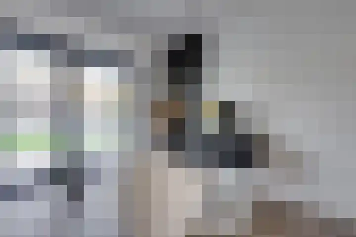 Klaroenring 101 Etten-Leur thumbnail 25