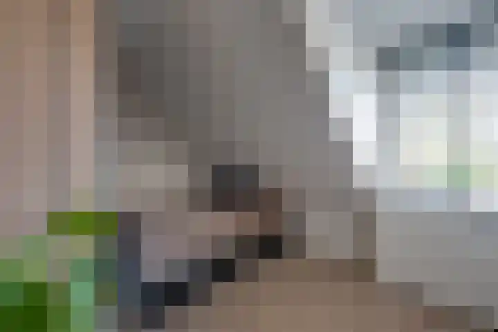 Klaroenring 101 Etten-Leur thumbnail 31