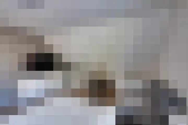 Klaroenring 101 Etten-Leur thumbnail 37