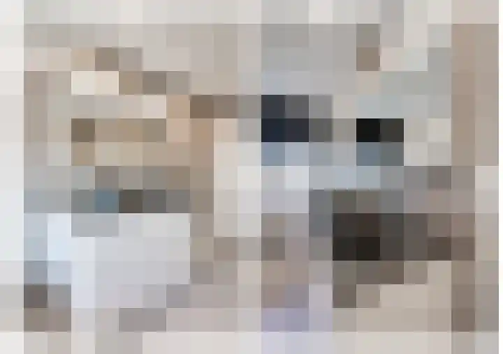 Klaroenring 101 Etten-Leur thumbnail 41