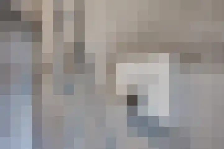 Klaroenring 101 Etten-Leur thumbnail 43