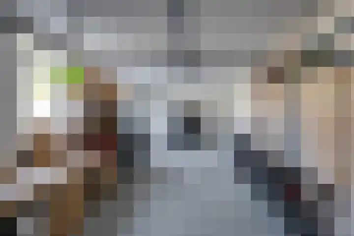 Klaroenring 101 Etten-Leur thumbnail 45