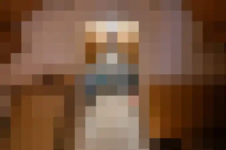 Klaroenring 101 Etten-Leur thumbnail 48