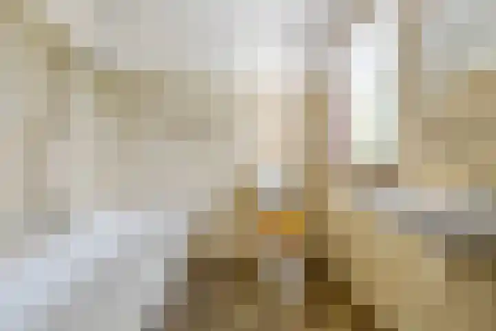 Klaroenring 175 Etten-Leur thumbnail 20